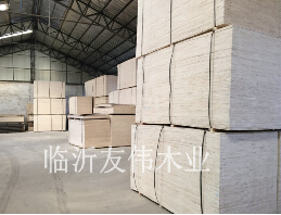 包裝板生蟲應(yīng)該怎么辦？